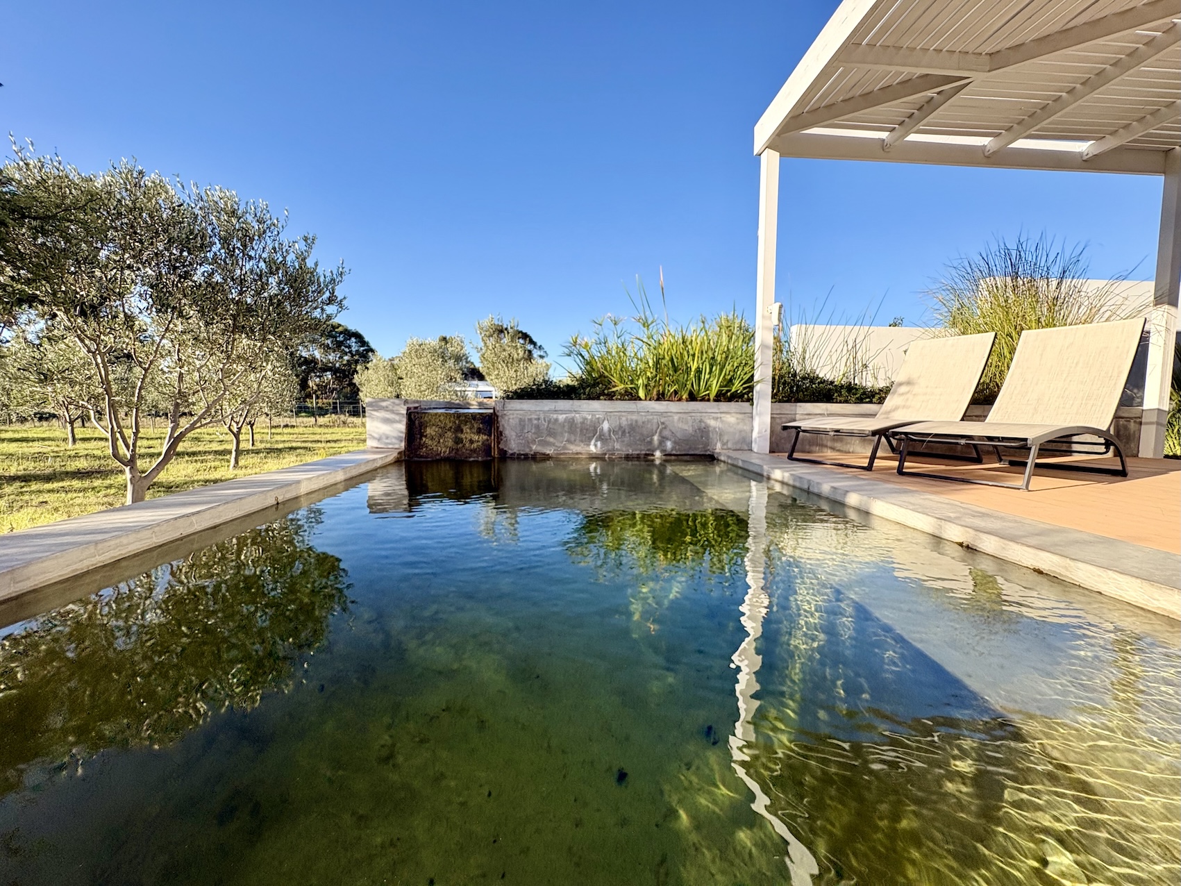 Fairy Flycatcher pool